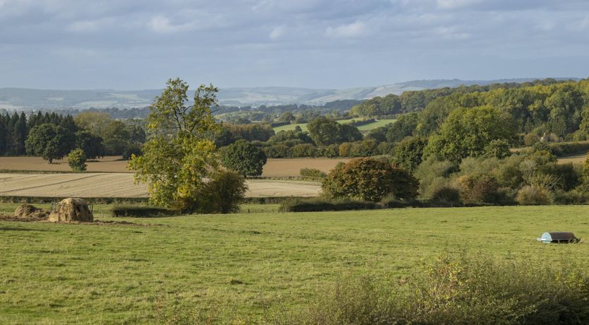 Photo of The Old English School