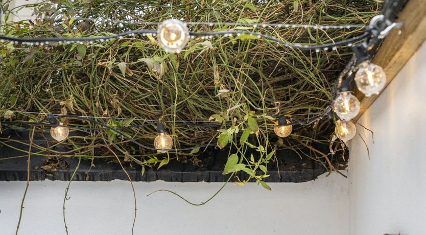 Photo of Sun Providers