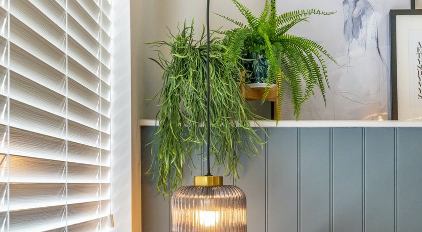 Photo of Sun Providers