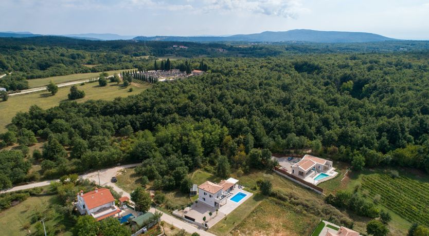 Photo of Honey Honey Honey