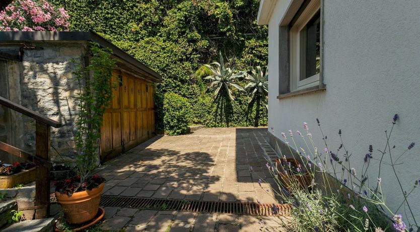 Photo of Lulled by the Lake