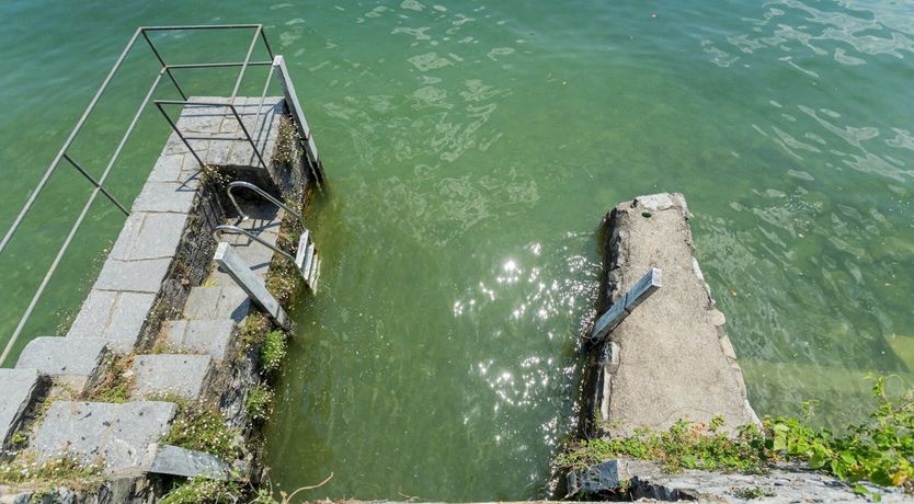 Photo of Lulled by the Lake