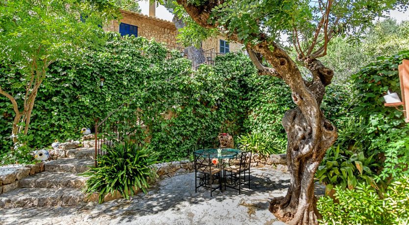 Photo of The Botanist's Retreat