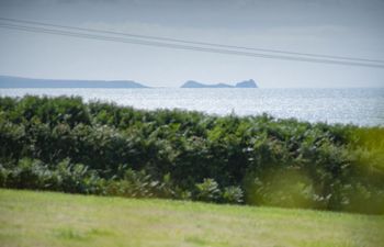 Tranquil Willow Haven Holiday Cottage