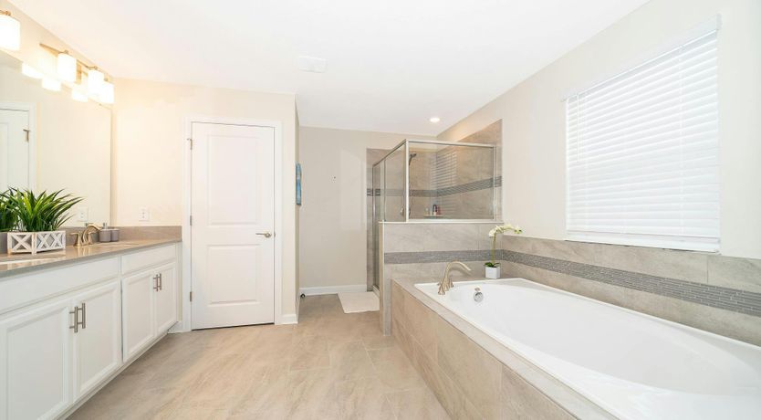 Photo of Siesta Shade