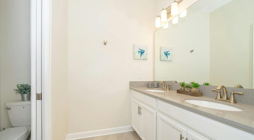 Photo of Siesta Shade