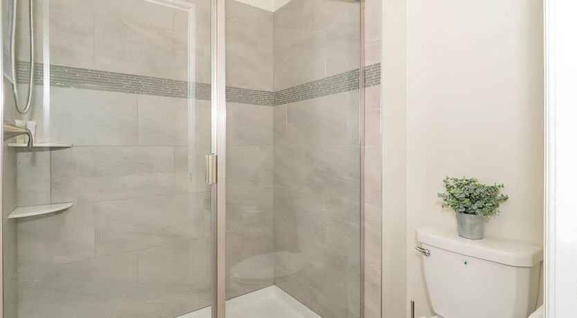 Photo of Siesta Shade