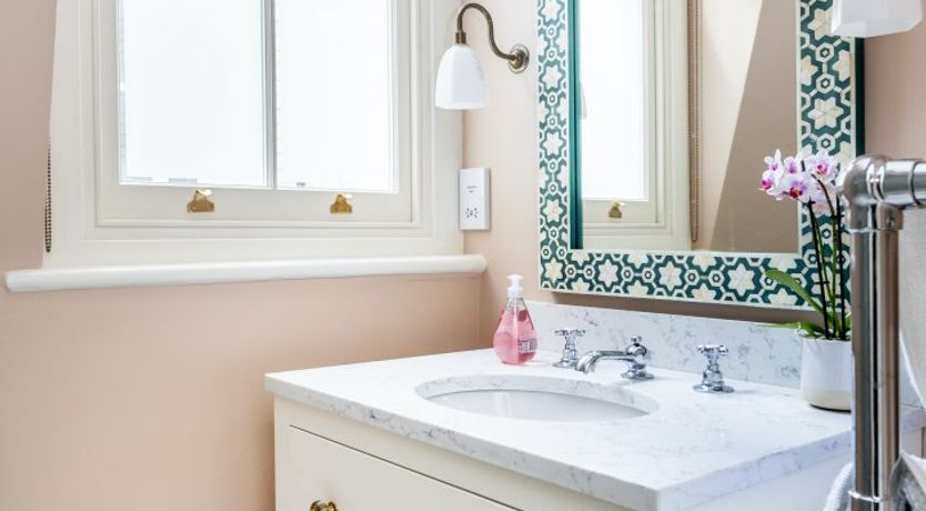 Photo of Baby's Breath