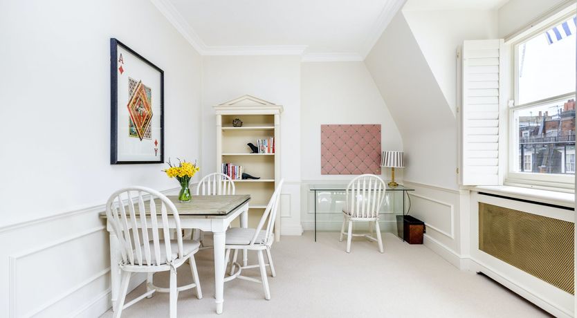 Photo of Baby's Breath