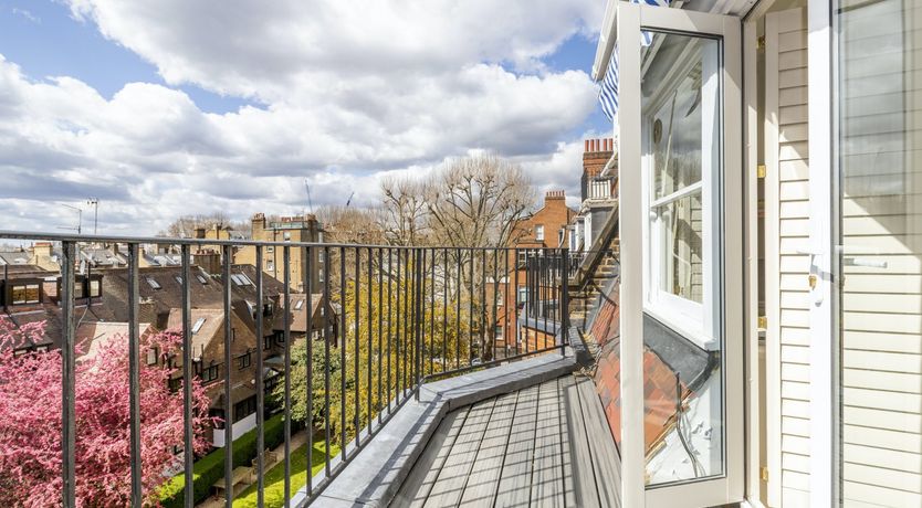 Photo of Baby's Breath