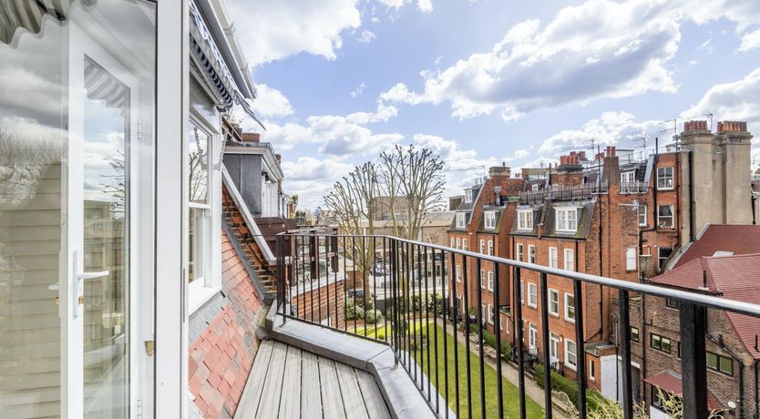 Photo of Baby's Breath