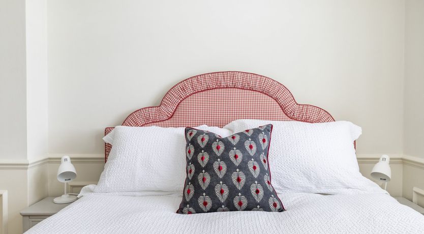 Photo of Baby's Breath