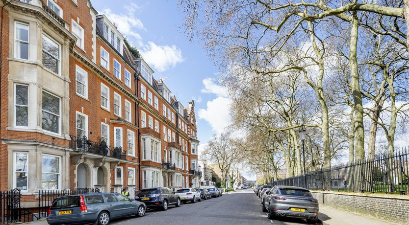 Photo of Baby's Breath