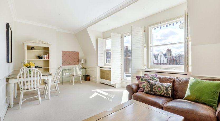 Photo of Baby's Breath