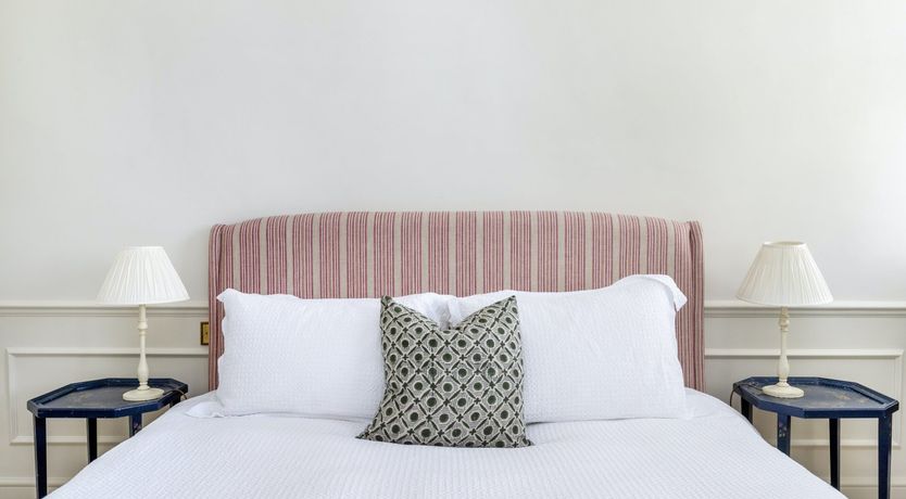 Photo of Baby's Breath