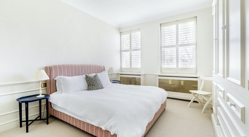 Photo of Baby's Breath