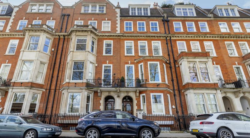 Photo of Baby's Breath