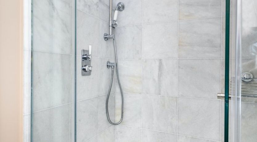 Photo of Baby's Breath