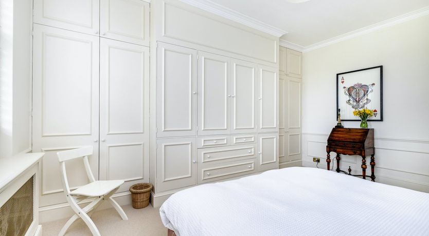 Photo of Baby's Breath