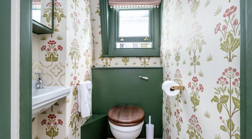 Photo of Baby's Breath