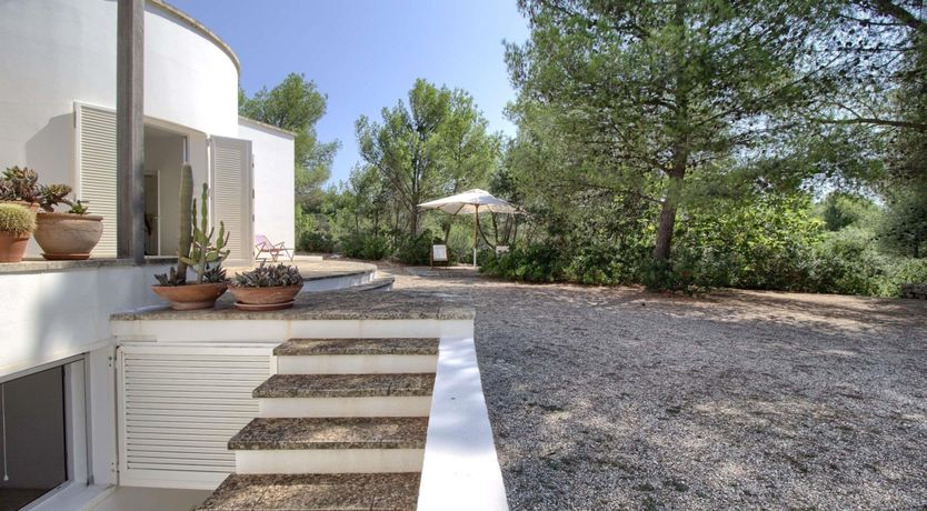 Photo of Olive Grove Haven