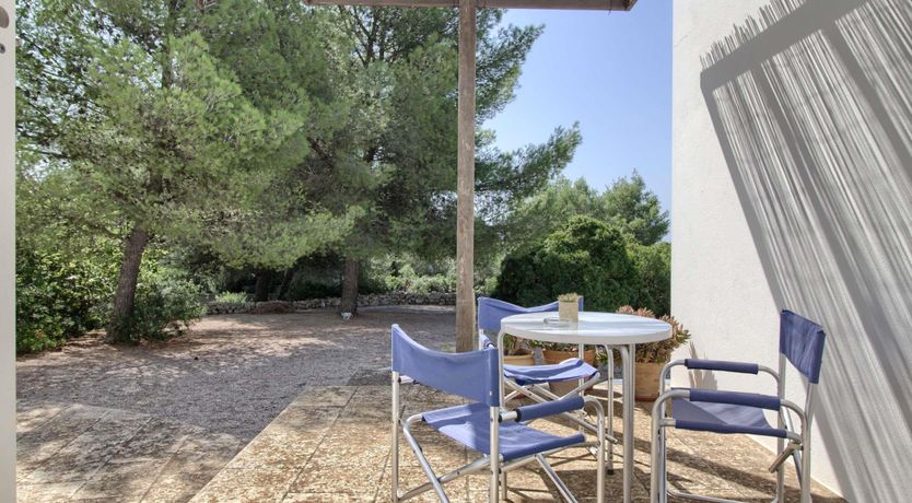 Photo of Olive Grove Haven