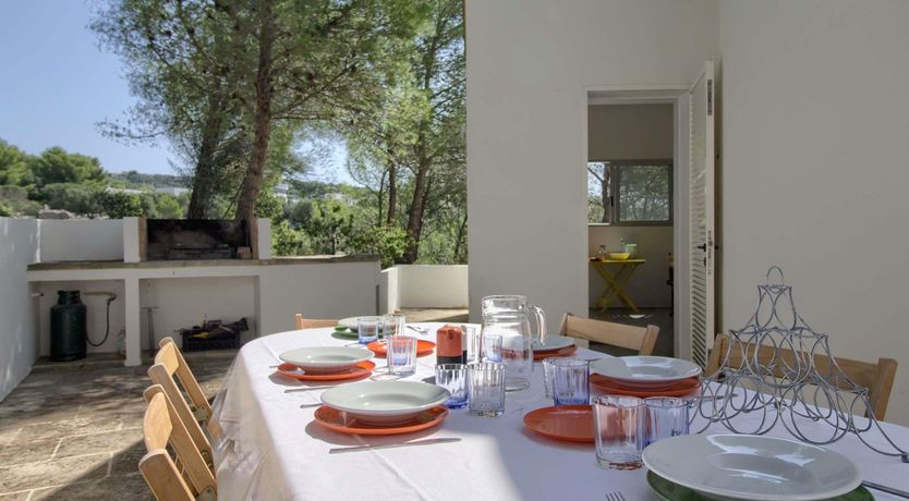 Photo of Olive Grove Haven