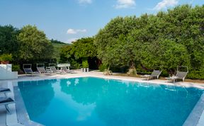 Photo of Elegant Olive Grove Retreat