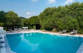 Elegant Olive Grove Retreat Villa