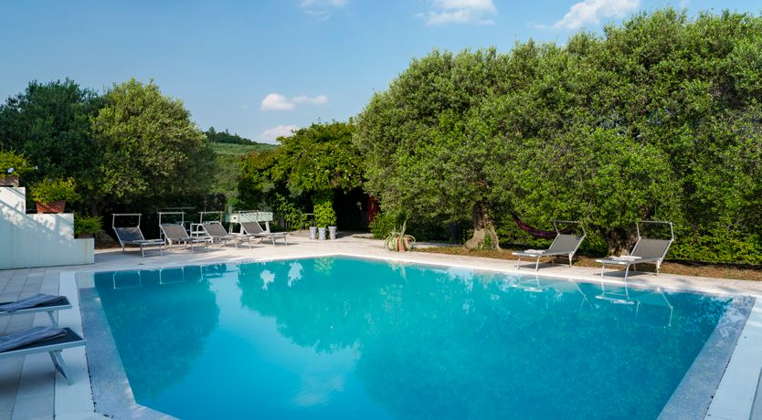 Photo of Elegant Olive Grove Retreat