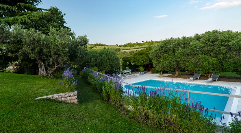 Photo of Elegant Olive Grove Retreat