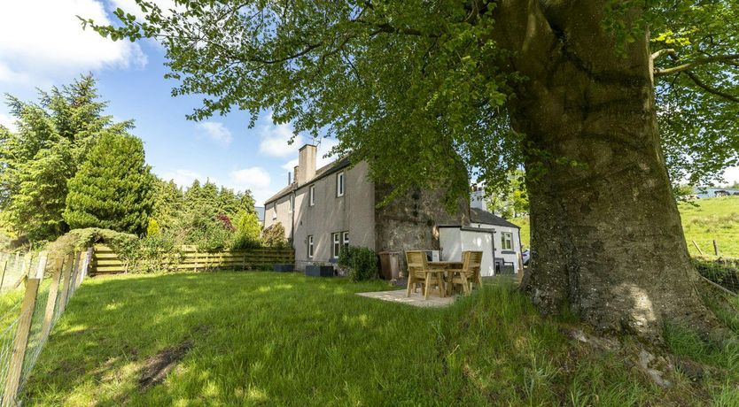 Photo of The Old Wood