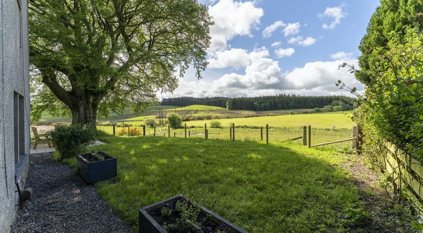 Photo of The Old Wood