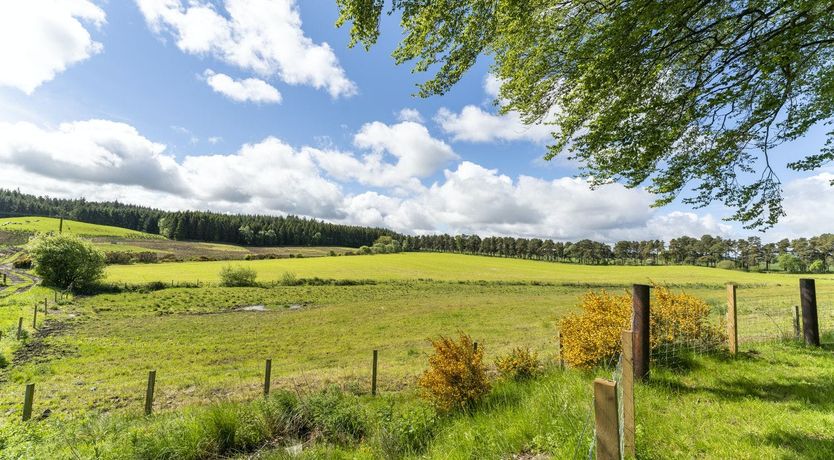 Photo of The Old Wood