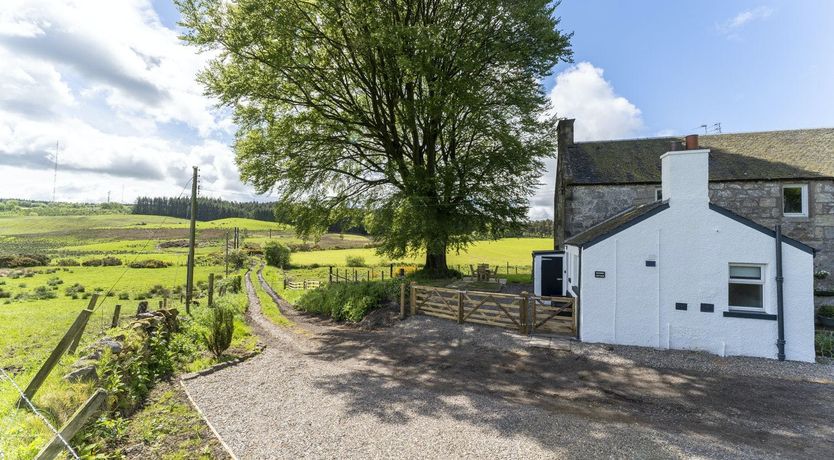 Photo of The Old Wood