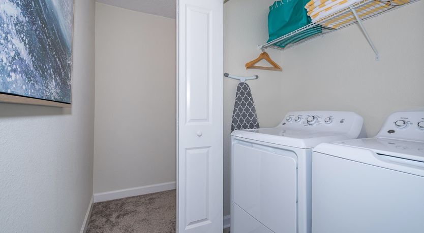 Photo of The Sea Dive