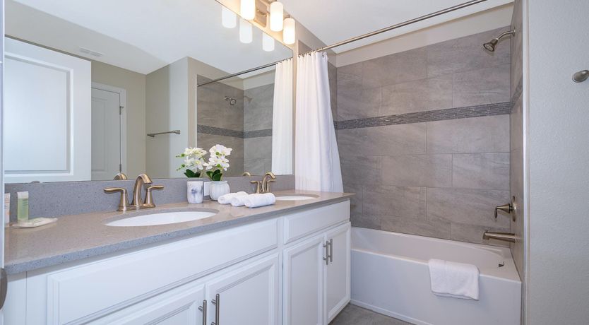 Photo of The Sea Dive