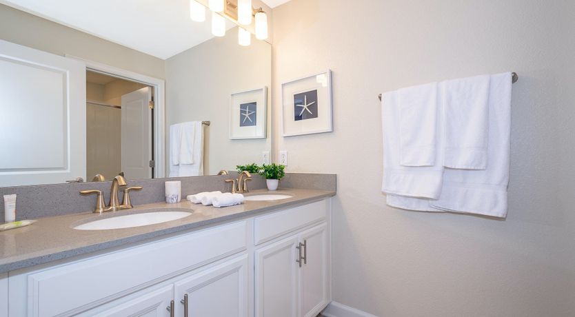 Photo of The Sea Dive