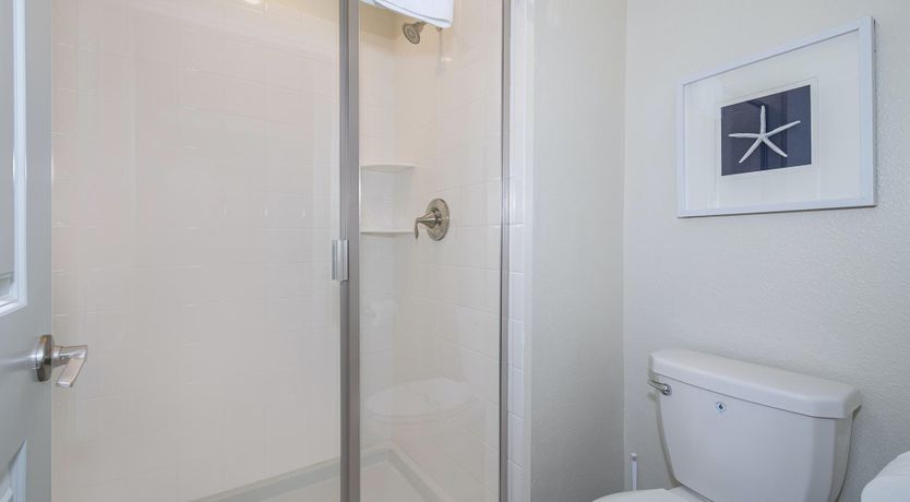 Photo of The Sea Dive