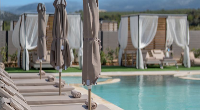 Photo of Whispers of the Night