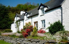 The Cottage Song Holiday Cottage