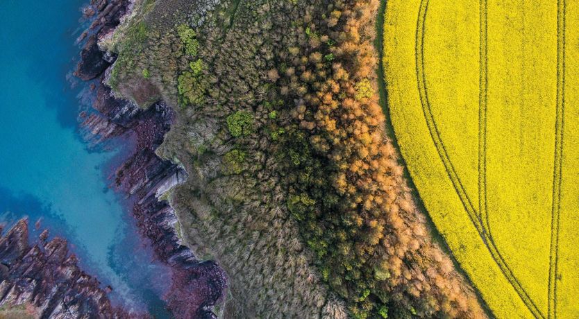 Photo of Enchanting Cottage