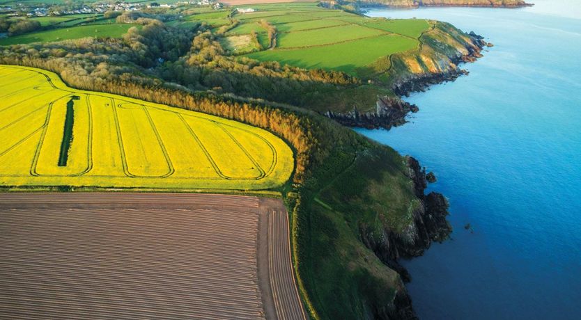 Photo of Enchanting Cottage