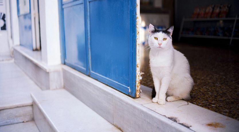 Photo of Eternal Bliss