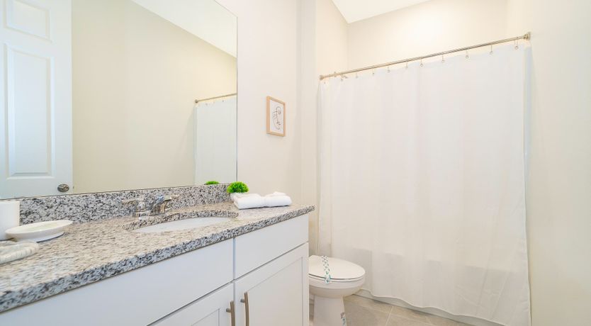 Photo of Sweet Corn Cob