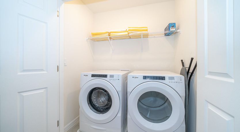 Photo of Sweet Corn Cob