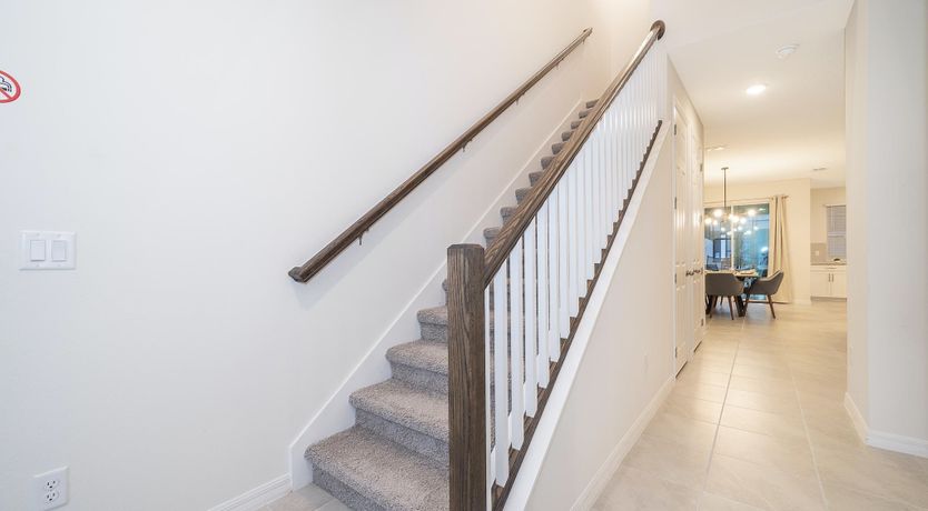 Photo of Sweet Corn Cob