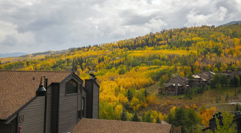 Photo of Alpine Vista