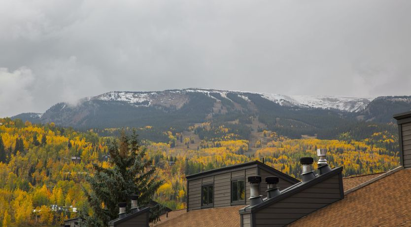 Photo of Alpine Vista