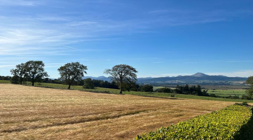 Photo of You Are Free